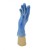 Shield2 GD13 Smooth Blue Disposable Vinyl Gloves