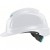 Uvex 9772042 Pheos Planet B-WR Safety Helmet