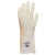 Polyco Vyclear Clear Chemical-Resistant Dipped PVC Gauntlet Gloves P713