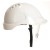 Portwest Endurance Visor Helmet PW55