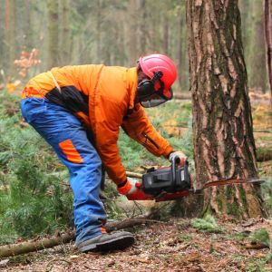 Forestry Shirts, Jackets and T-Shirts