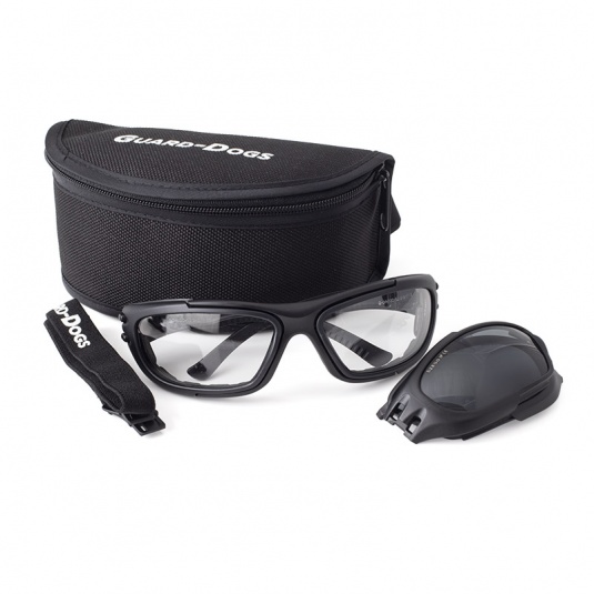 Guard Dogs Eyewear Kit with Clear and Smoke Lenses G100