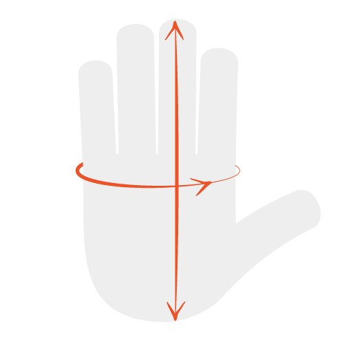 hand size measurement, hand length and circumference of palm at knuckle