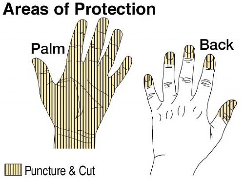 TurtleSkin Gloves Protection