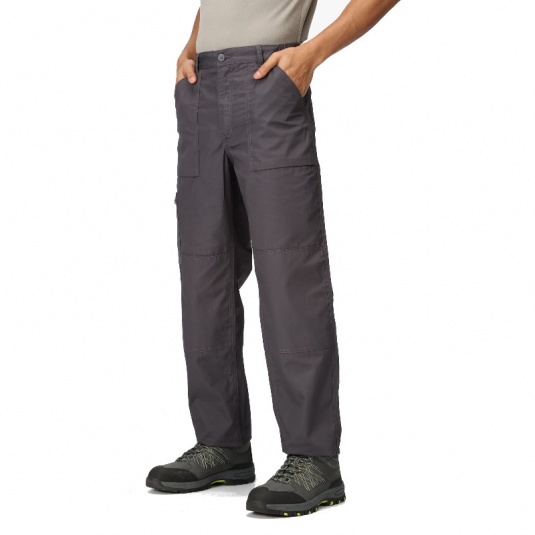 Regatta TRJ330 New Action Trousers (Grey)