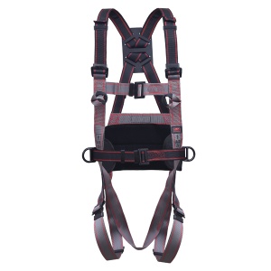 JSP Pioneer 3-Point Harness