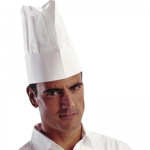 Delta Plus TOQUE Adjustable Food Industry Pleated Hat (Box of 10)